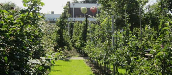 wandeling_kapelle