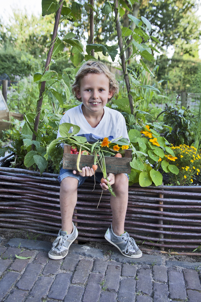 xavier met oogst