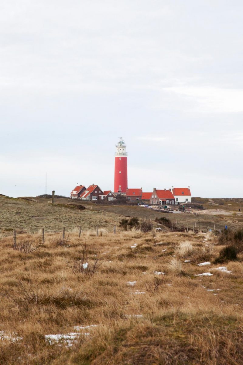 schaapherder