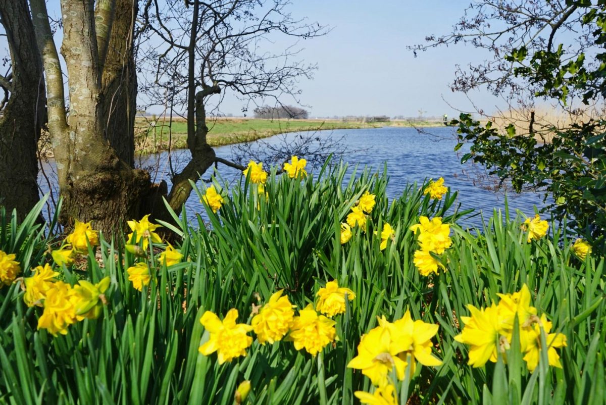 Het Eiland van De Loet