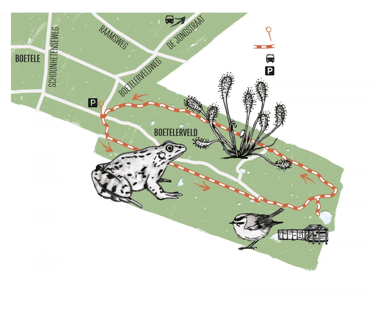 Boetelerveld