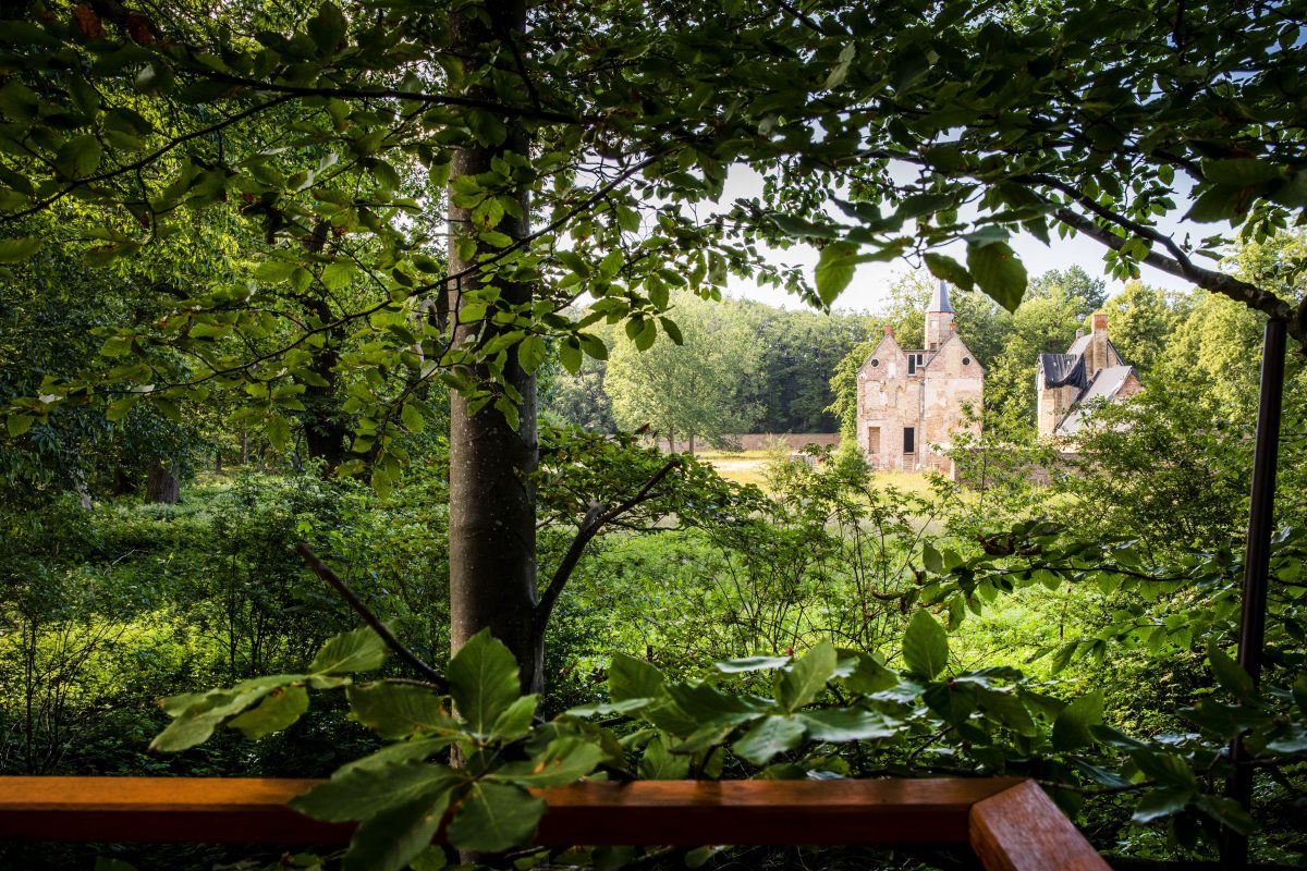boomhut belgië