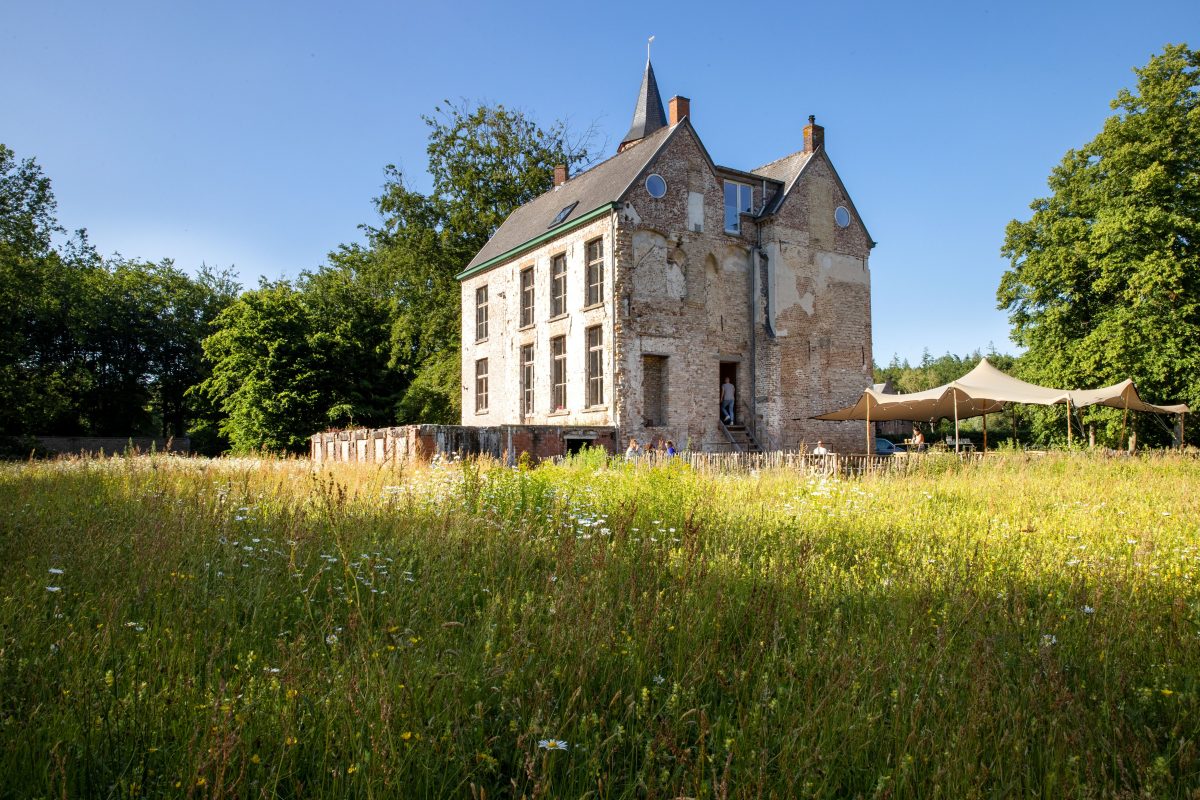 boomhut belgië