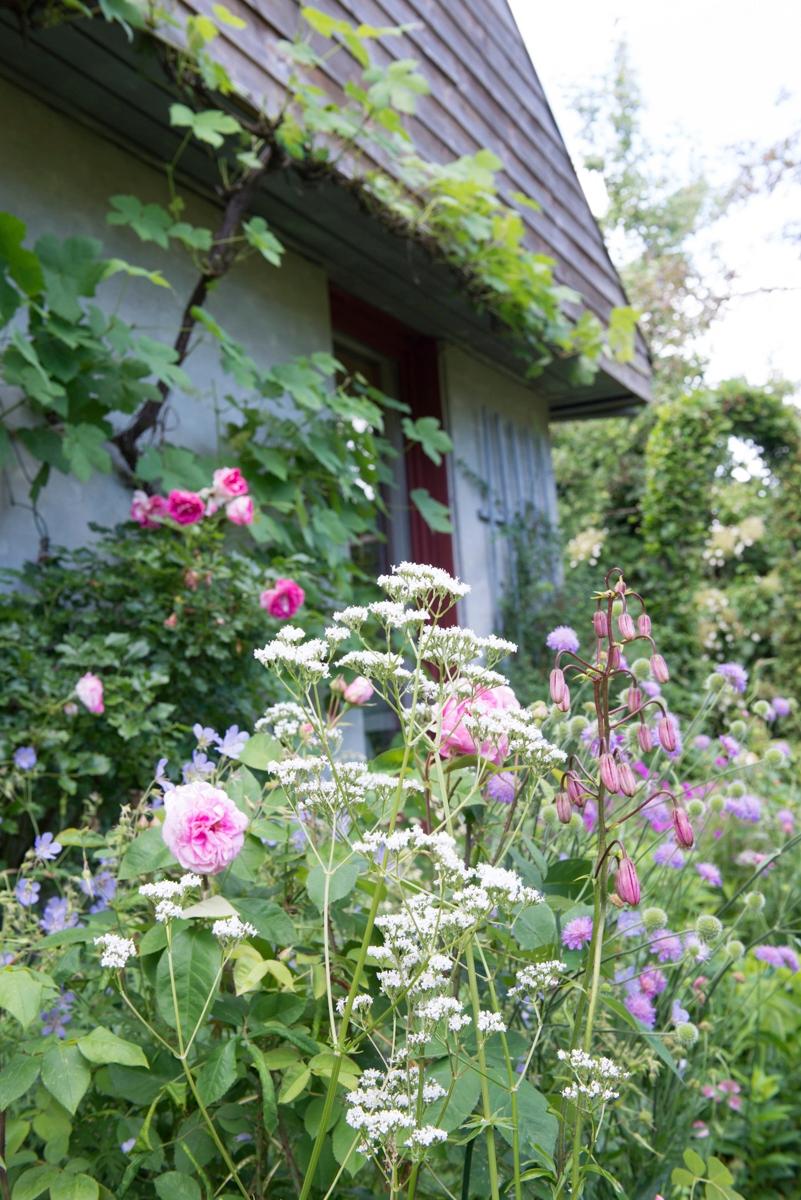 cottagetuin