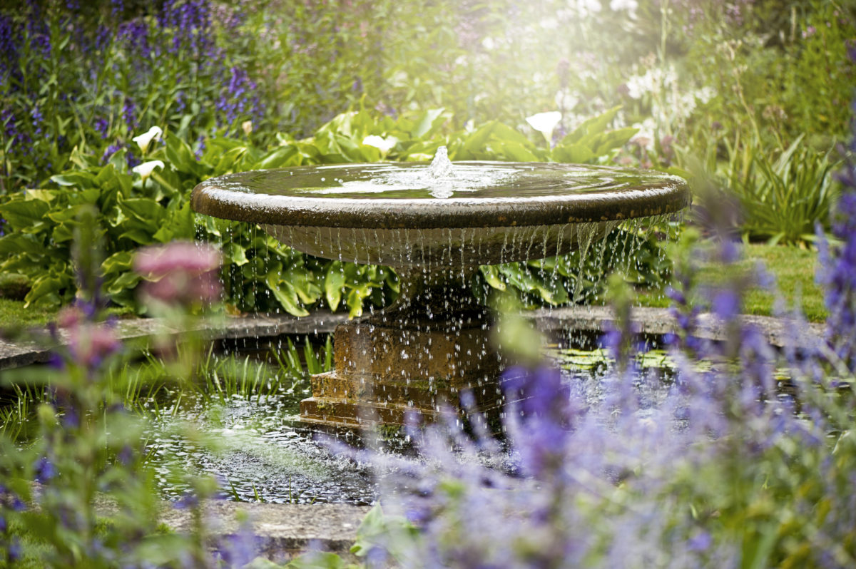 natte tuin