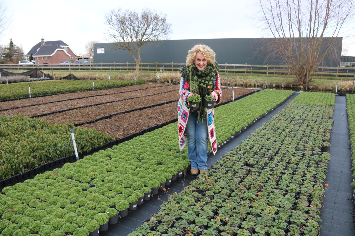 Karin Bloemen