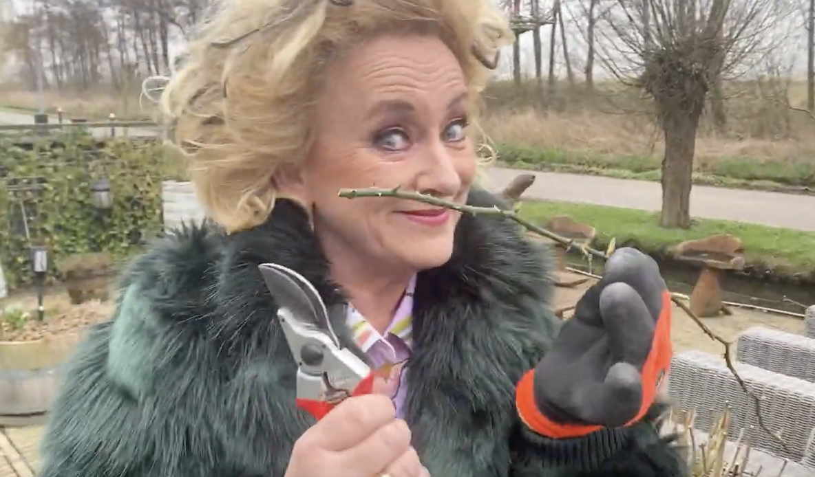 Karin Bloemen rozenstruik snoeien