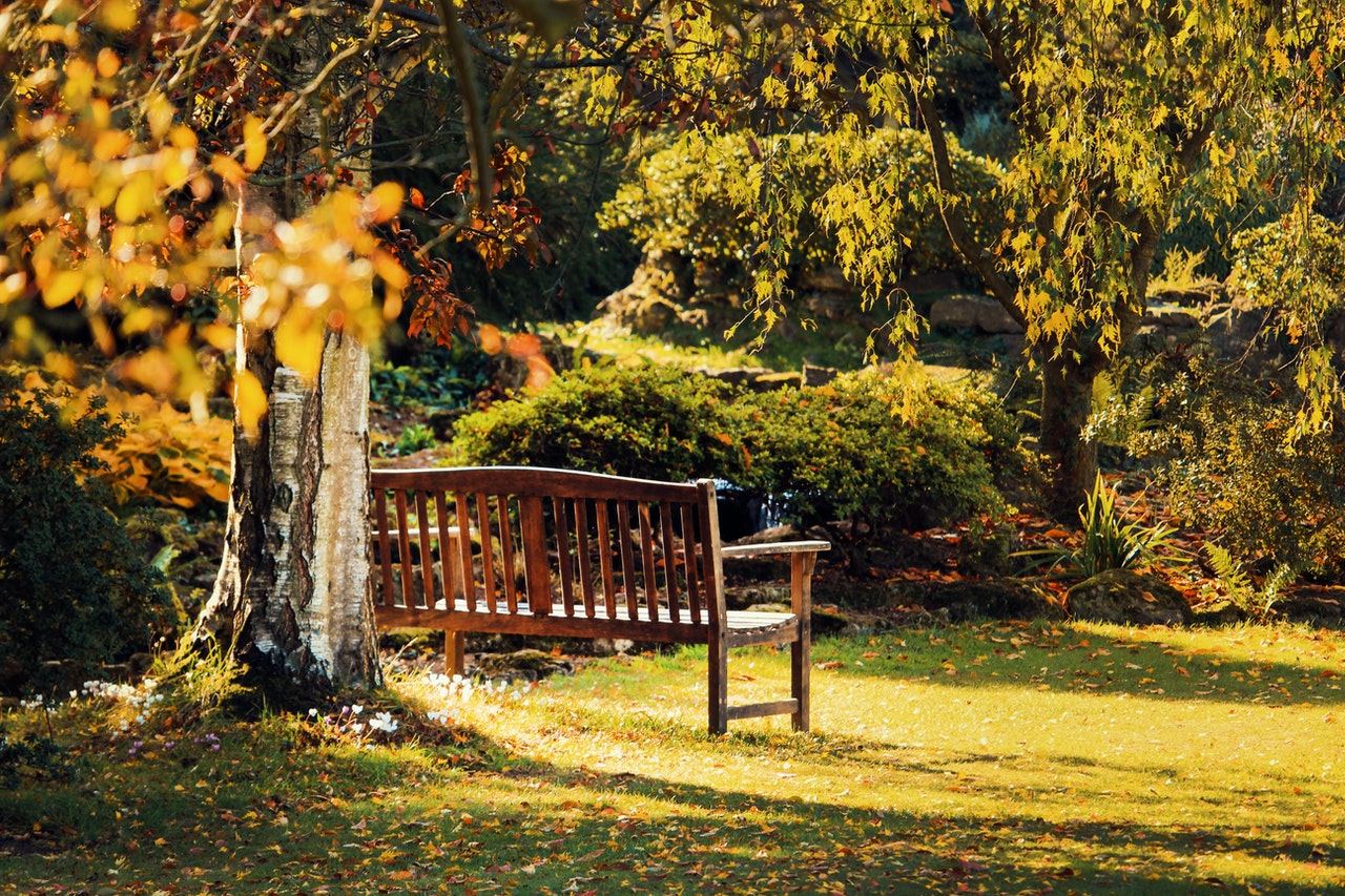schaduwtuin