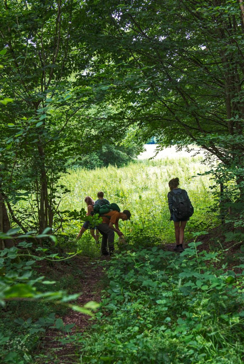 wildplukken Ardennen
