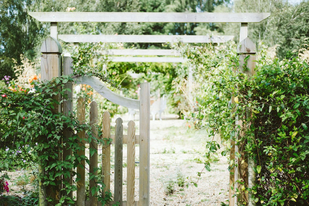 tuinvraag uitzicht pergola