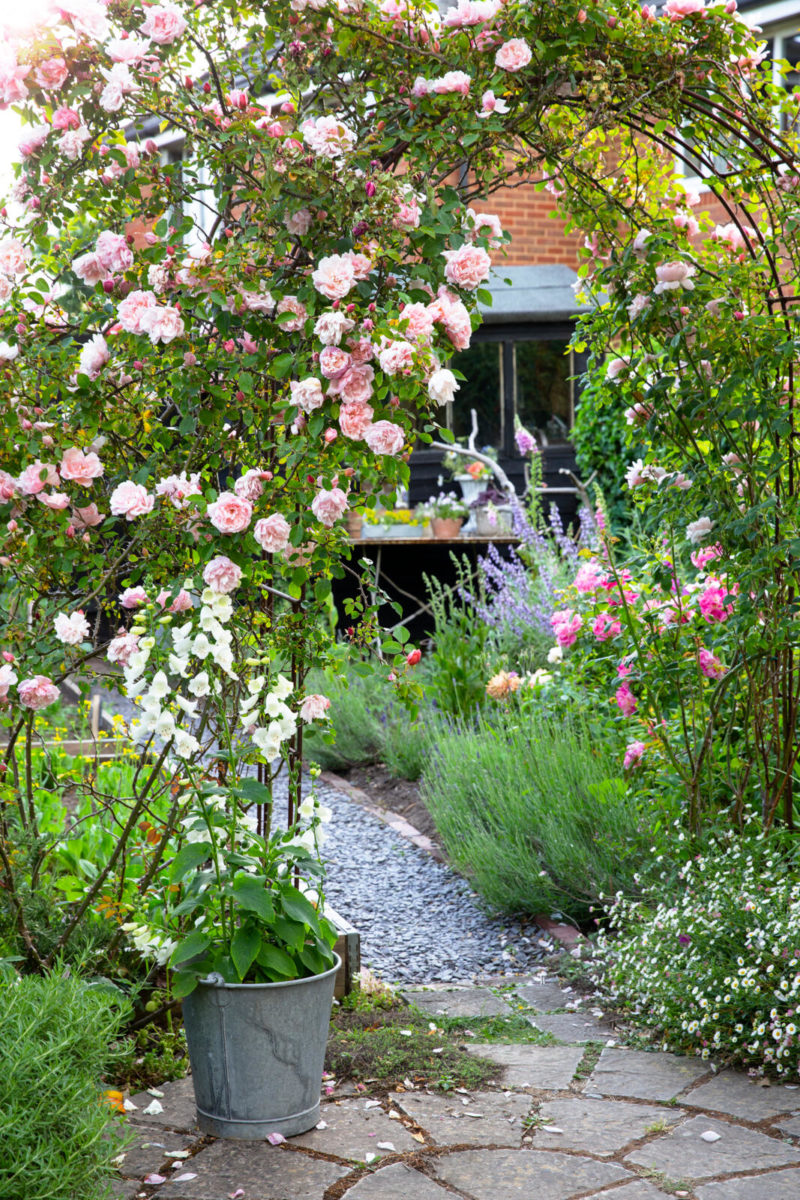 wilde cottagetuin