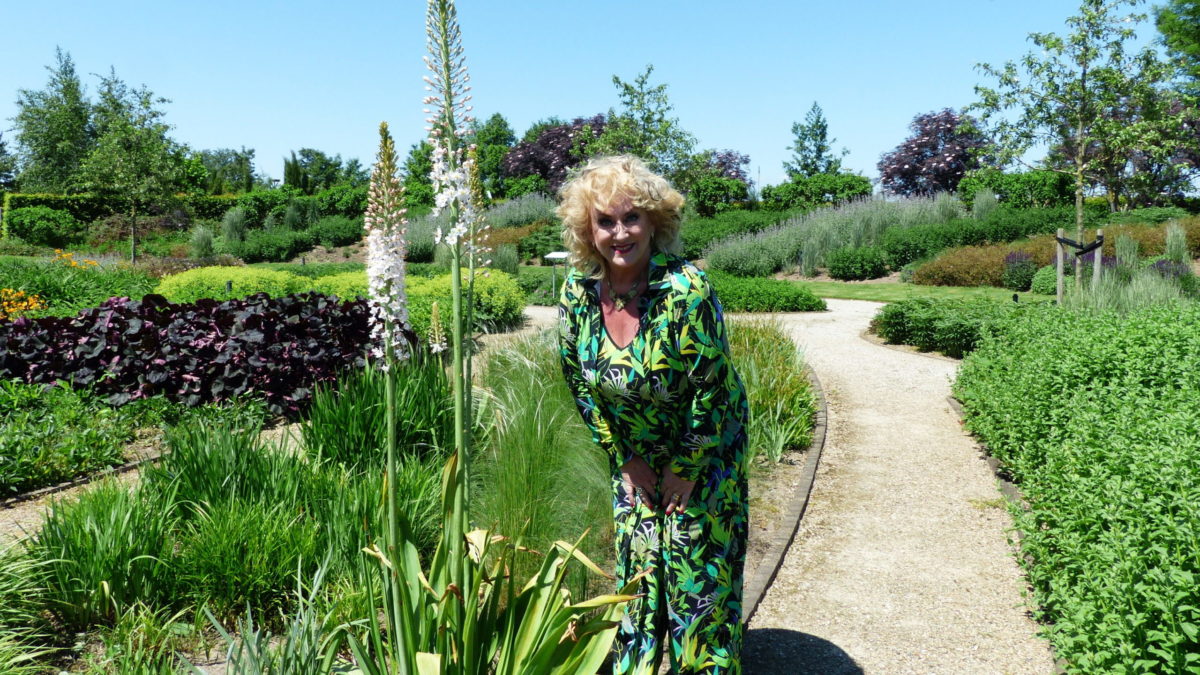 zomervakantie planten