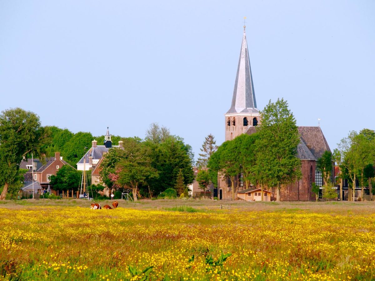 Ruterpolder