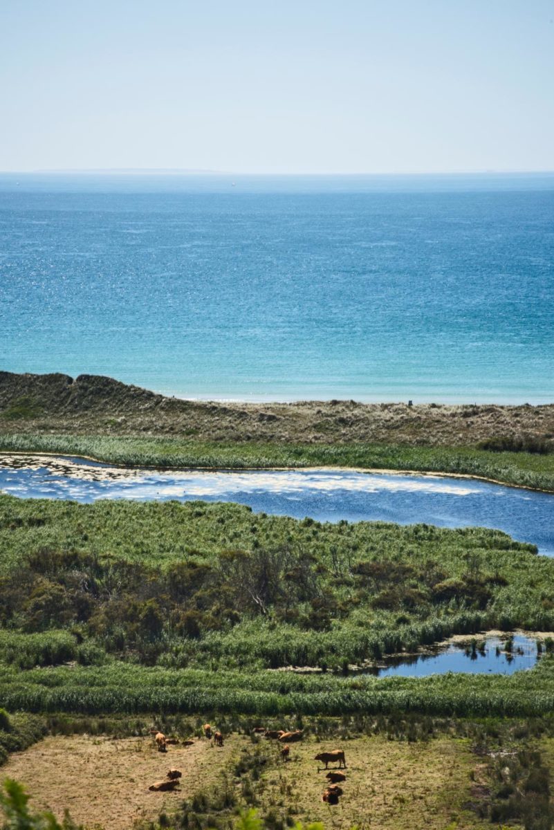cotentin