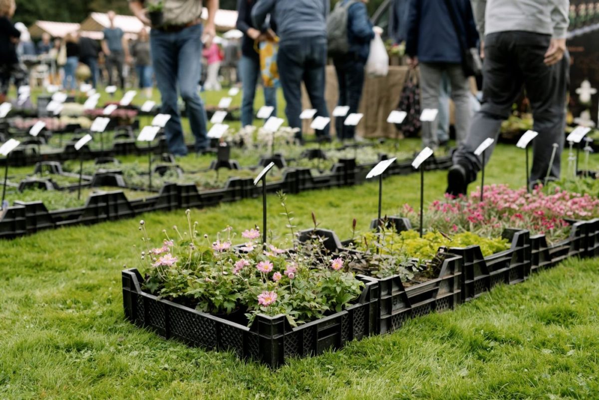 plantenmarkt