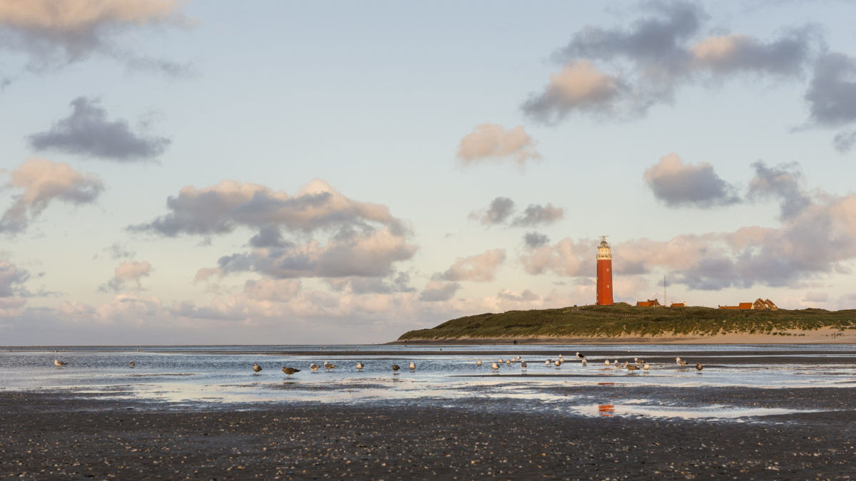 Texel