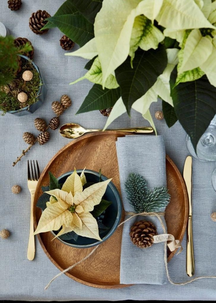 kerststerren - kerstdecoratie - kersttafel