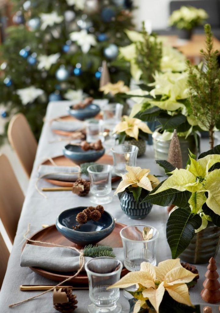 kersttafel - poinsettia
