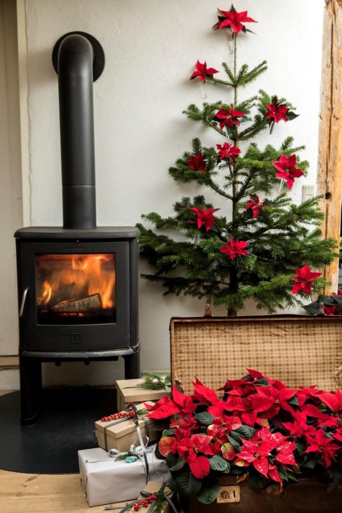 rode kerststerbloemen - kerstboom - kerstdecoratie