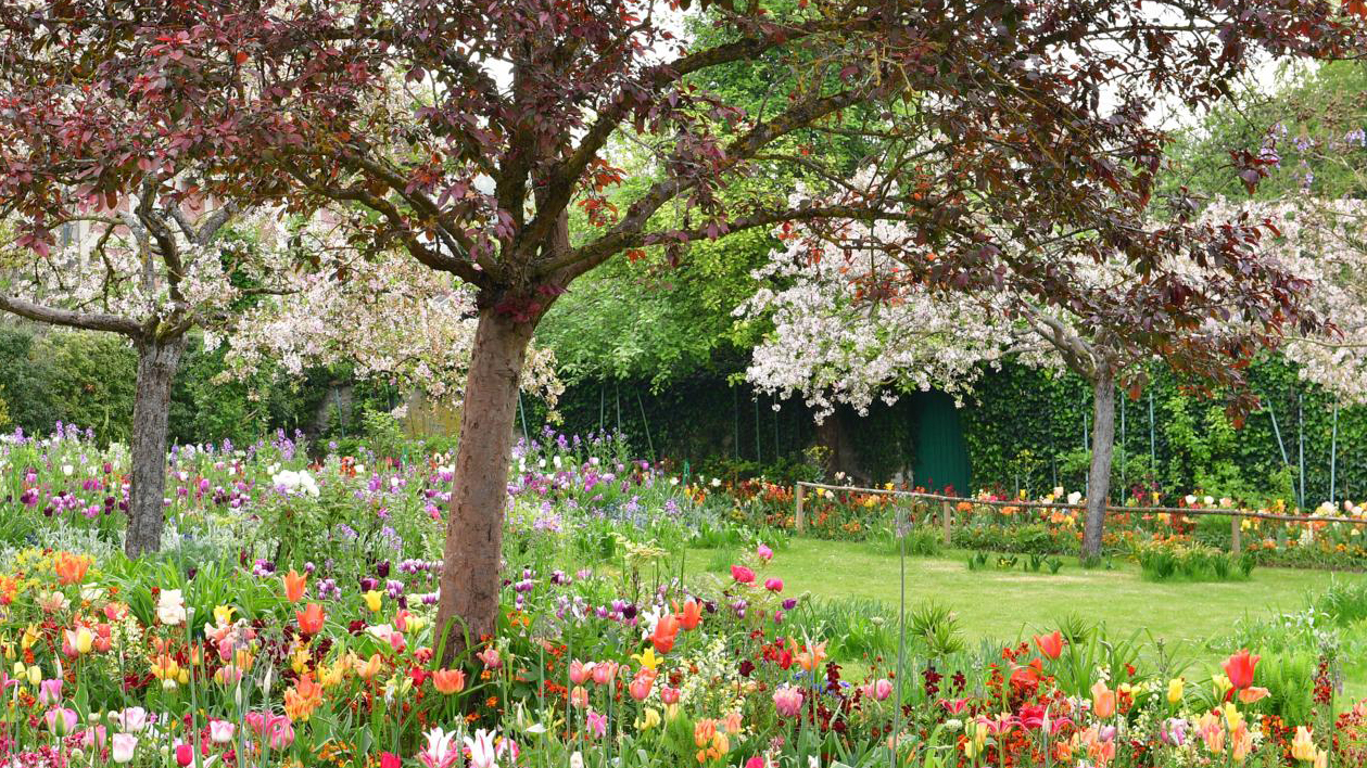bloementuin van Monet
