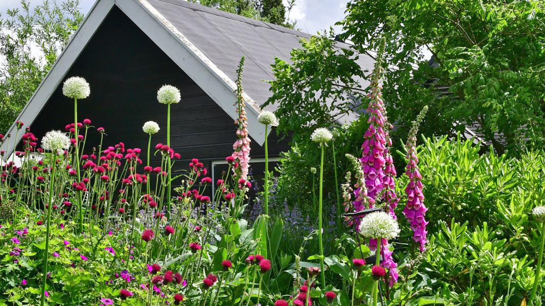 countrytuin