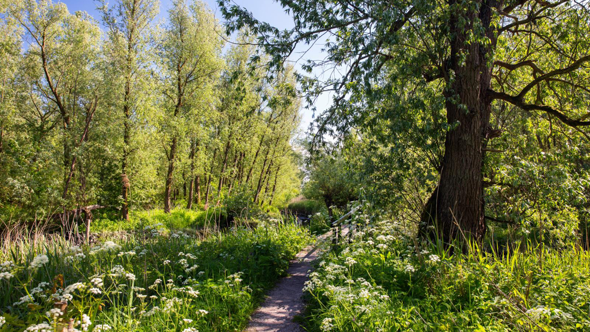 Wandelroute maas