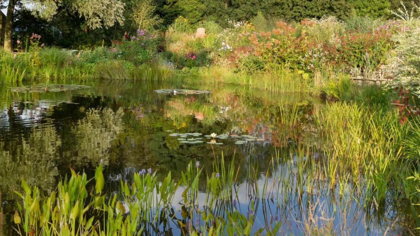 Tips biodiverse tuin