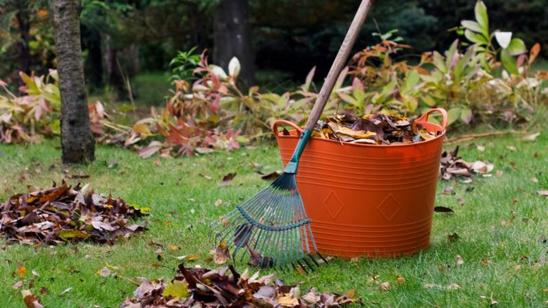herfstbladeren harken