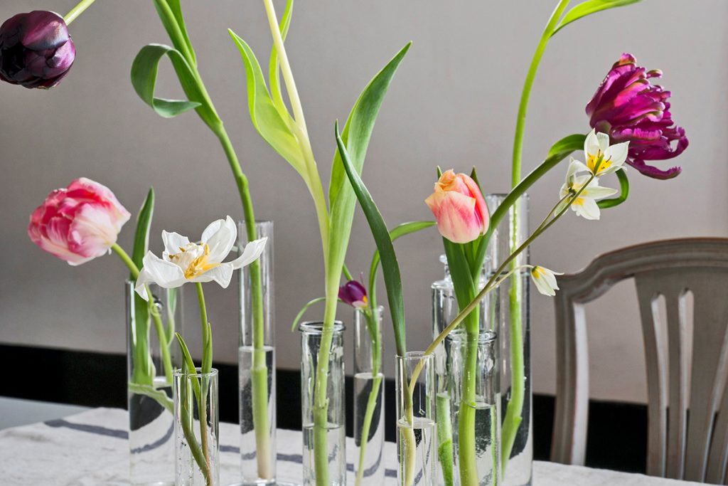 Tulp vaas