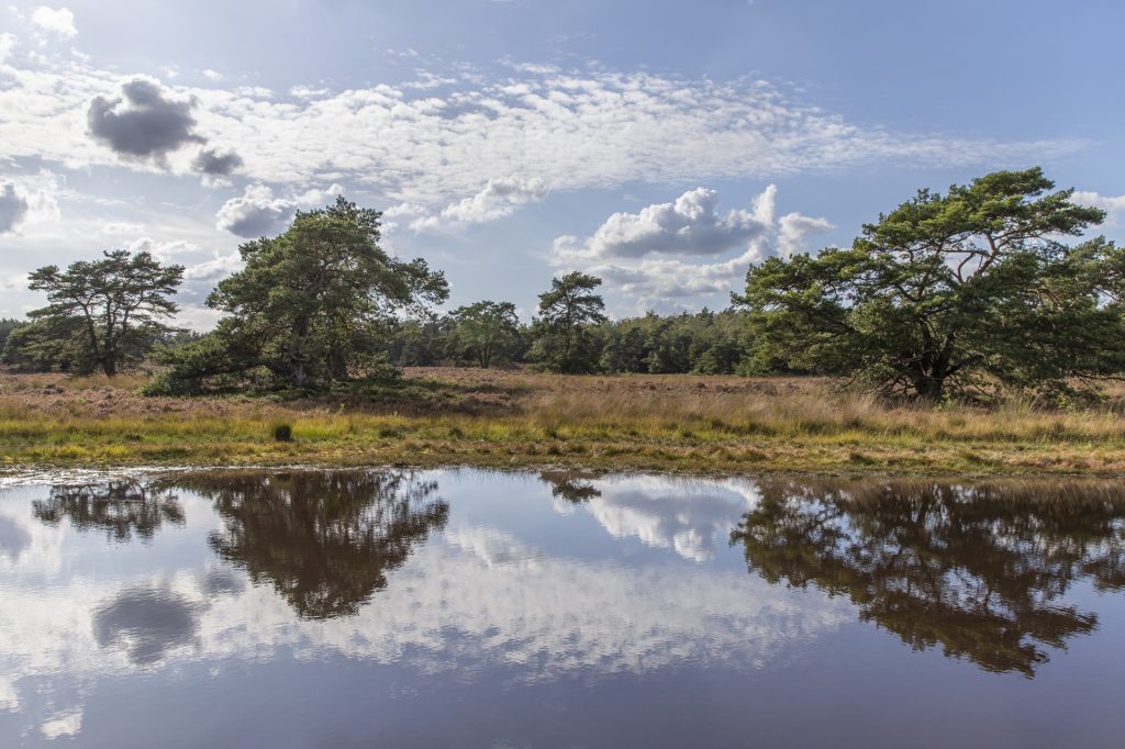 wandelen Veluwe