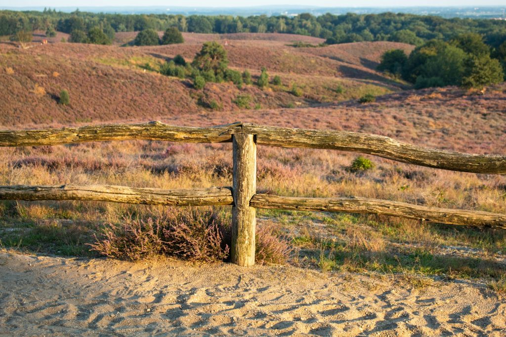 wandelen Veluwe