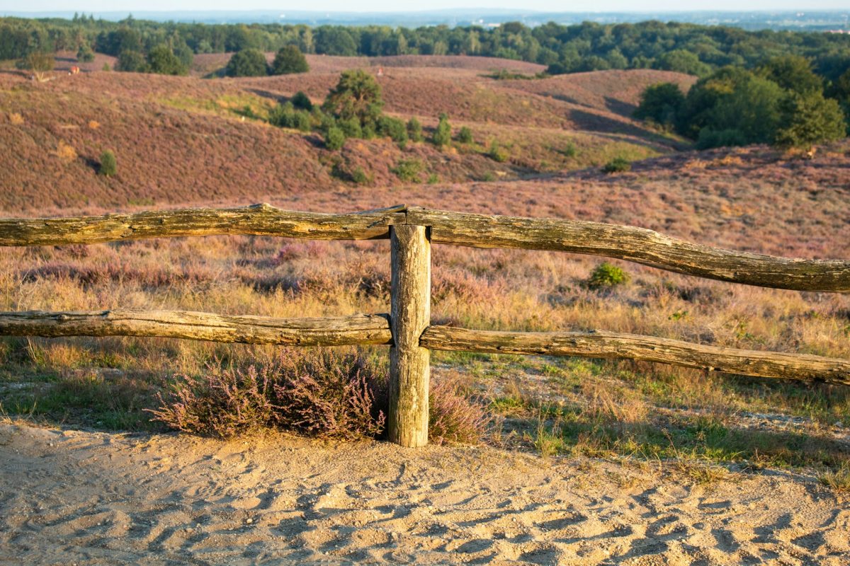 wandelen Veluwe